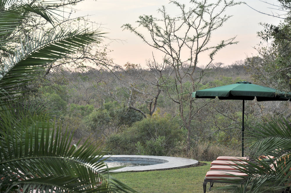 Waterbuck Game Lodge Reserva de Caça Thornybush Exterior foto